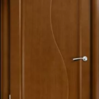 Milyana: Milyana Дверь Элиза анегри гл. 900x2000