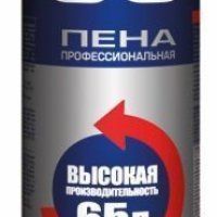 Tytan: Пена профессиональная 65 750 мл (21079)